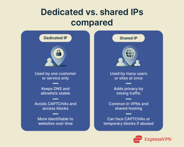 Altering Hosting Providers: A Complete Information Altering Hosting Providers: A Complete Information